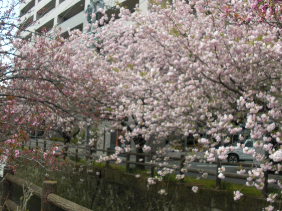 Plaza Hotel Fujinoi Хита Экстерьер фото